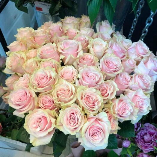 Лайт💕