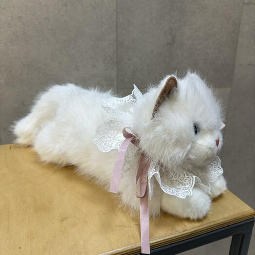 Кошечка с ажурным воротником