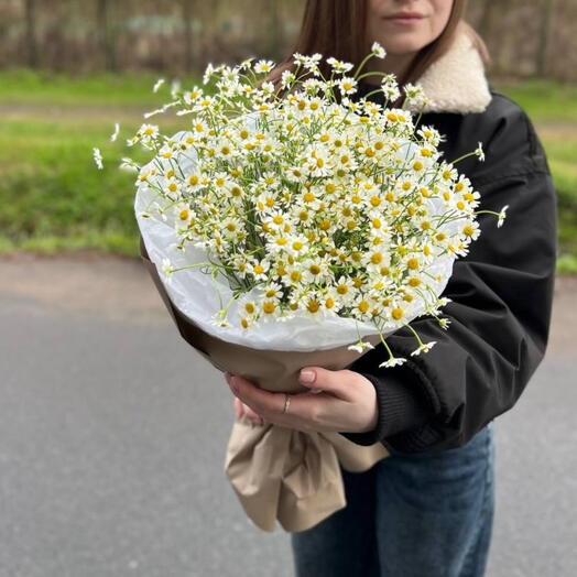 Букет полевых ромашек