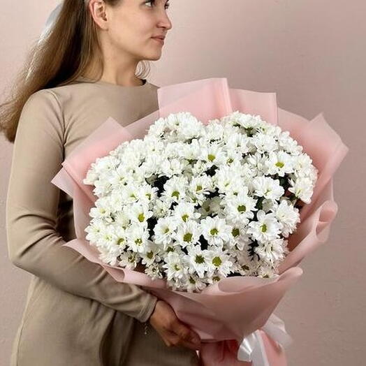 Белый букет ромашек (9 веток кустовой хризантемы) 02-0110-009