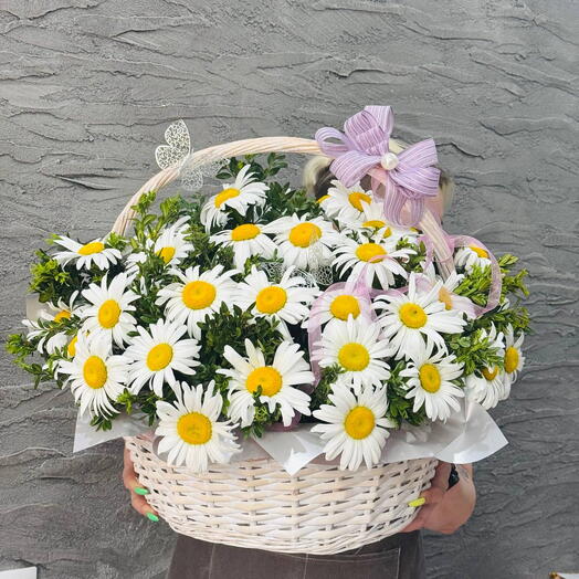 Большая корзина садовых ромашек 51 шт