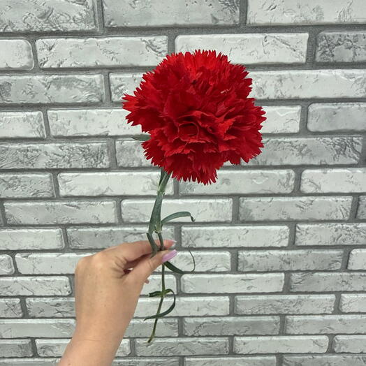 Красная гвоздика