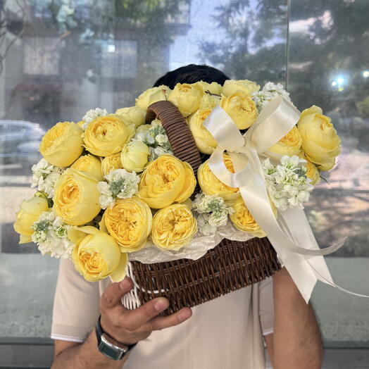Catalina roses