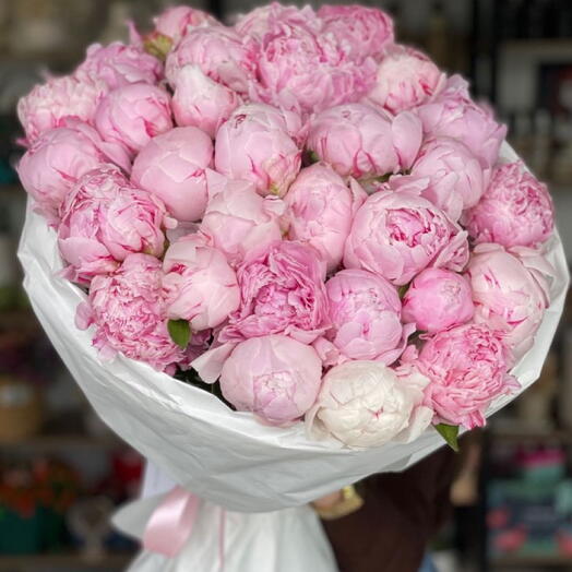Пионы признание в любви 🥰