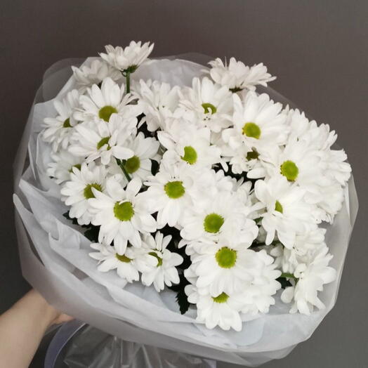 Ромашковое настроение