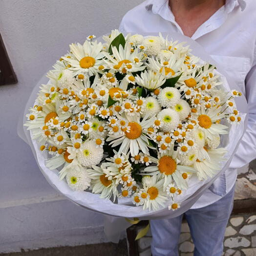 Букет ромашек М