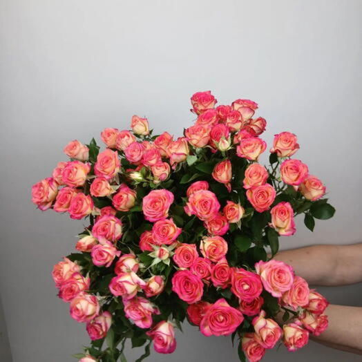 Пачка кустовой розы Саммер Дэнс (10) шт