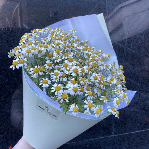 Букет «Поле ромашек»