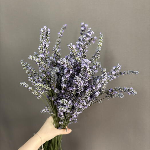 Лаванда 💜