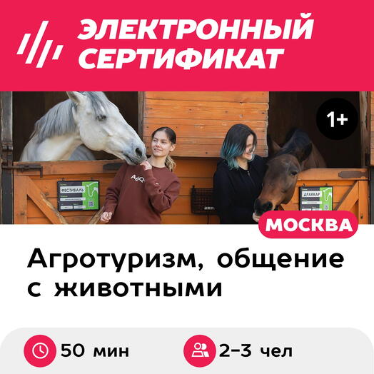 Подарочный сертификат Индивидуальная экскурсия на конюшню и катание верхом, до 3 чел. (50 минут)