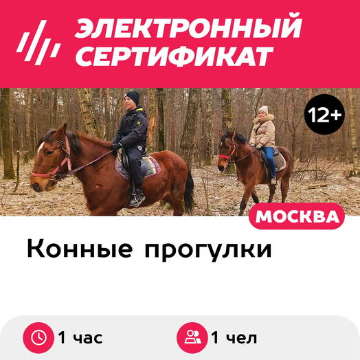 Подарочный сертификат Индивидуальная конная прогулка шагом и рысью, 1 чел. (1 час)