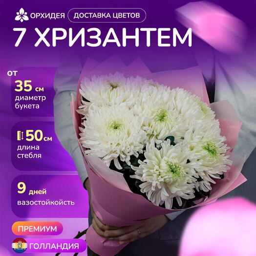Букет 7 Хризантем магнум белые