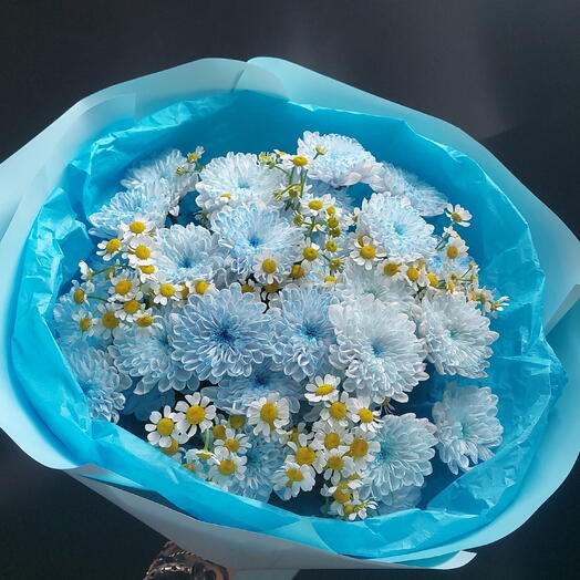 Ромашки в голубом