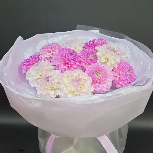 Микс любимых георгинов