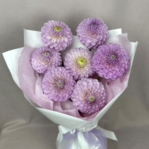 7 сиреневых георгин в нежном оформлении 💟🤍💜