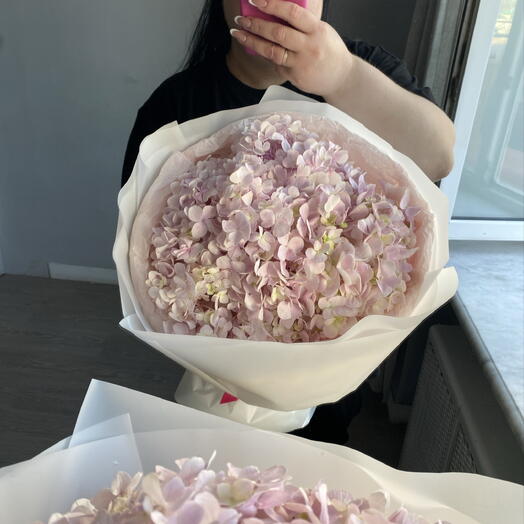 Акция !!
Розовое облако гортензий