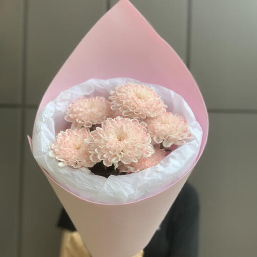 Мини букет из 1 кустовой крашенной хризантемой