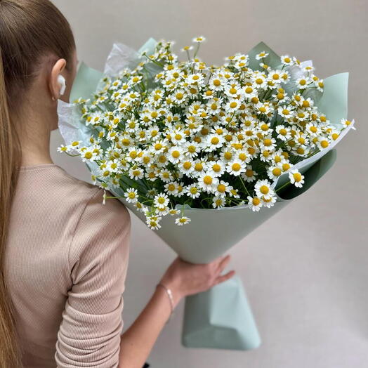 Ромашки кустовые в упаковке