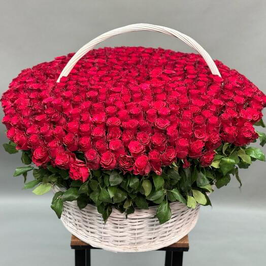 Корзина из 501 розы Кения