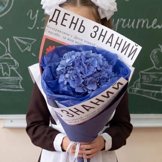 1 СЕНТЯБРЯ 846 / гортензия