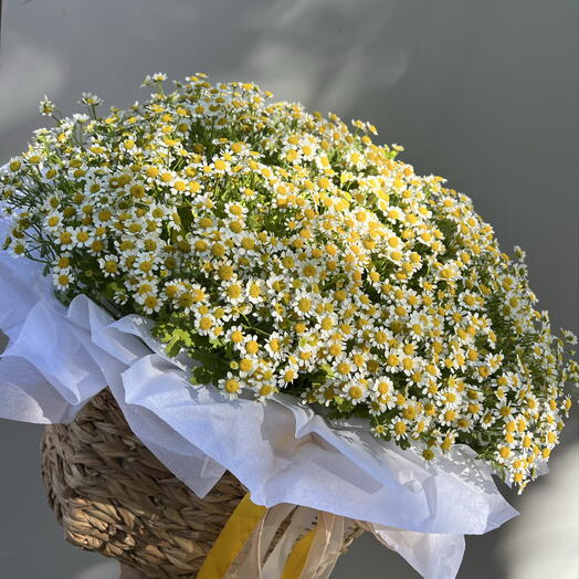Корзина «Ромашки»