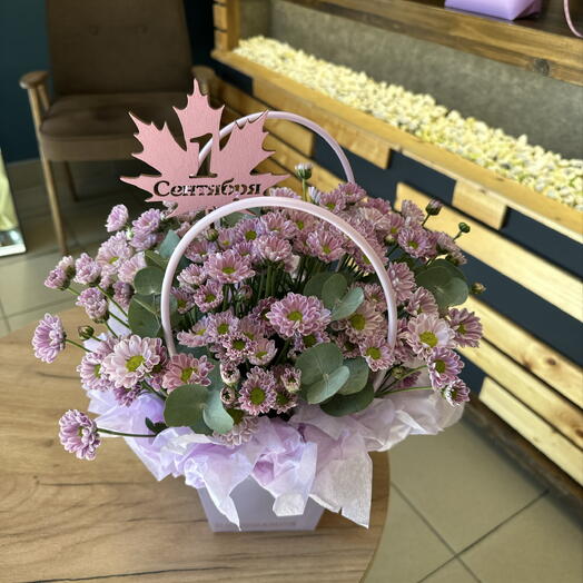 Сумочка первоклассника 🌸