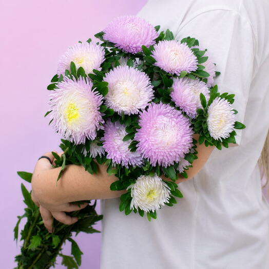 Кустовая астра сереневая пачка (5 шт.)