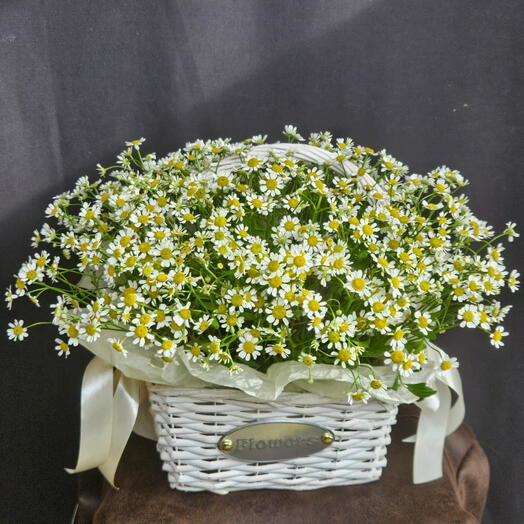 Корзина с ромашками