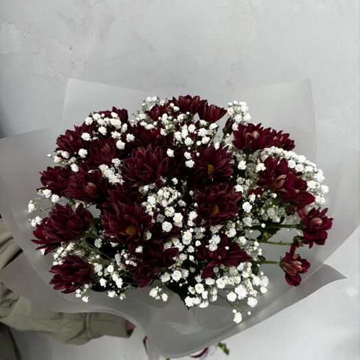 Букет из бордовых хризантем с гипсофилой