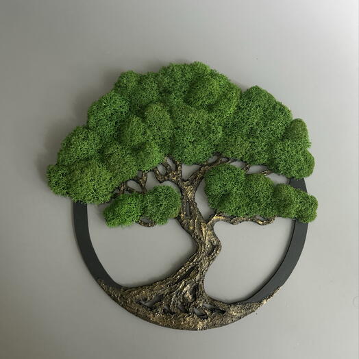 Moss panels