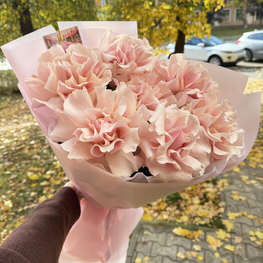 Французские розы Пинк Мондиаль