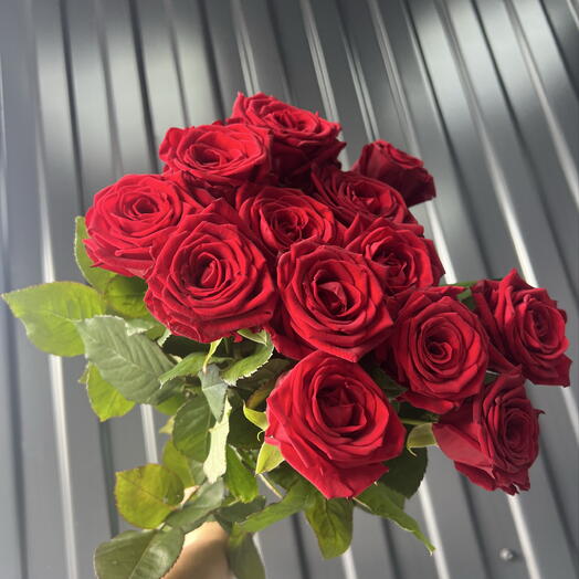 Красная Роза 🌹