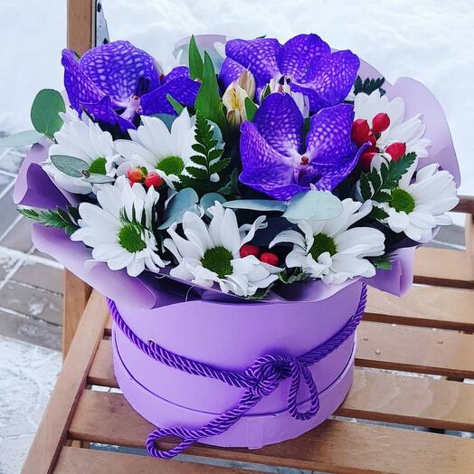 Orchids with chamomile chrysanthemum in a box