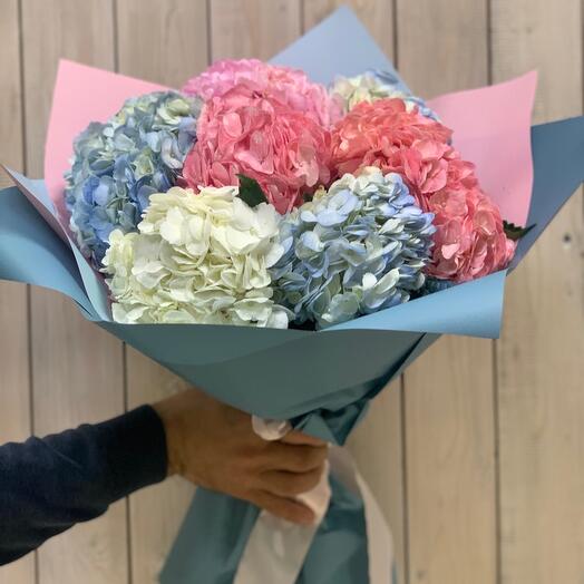 Букет 💝 «Гортензий Колумбия»