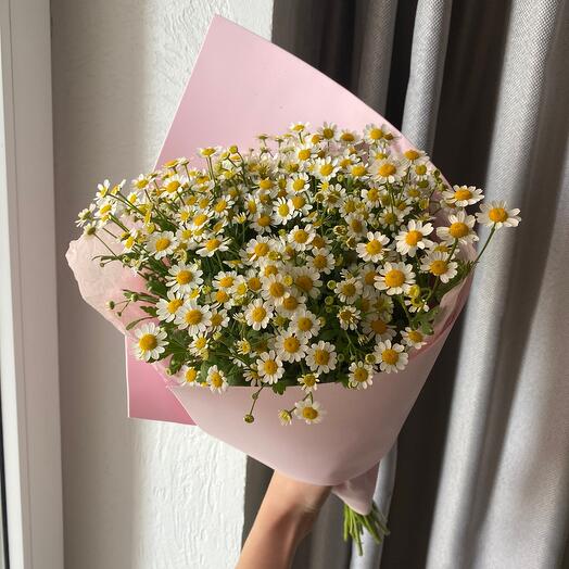 Bouquet of daisies/bouquet for a girl