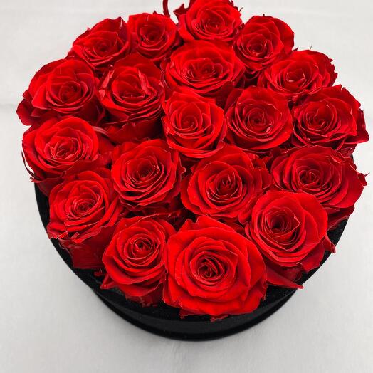 Red Infinity roses