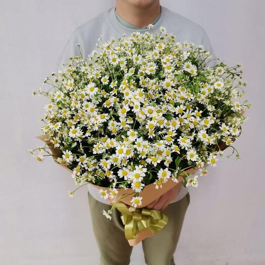 Bouquet of 25 bush daisies
