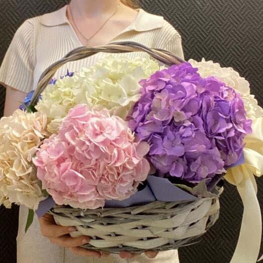 Hydrangea Basket