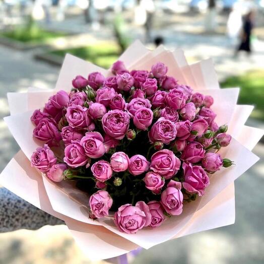 Peony - like roses