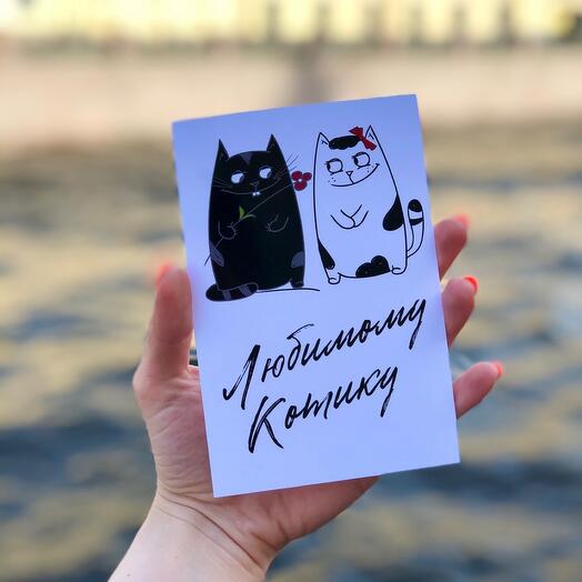 Котику