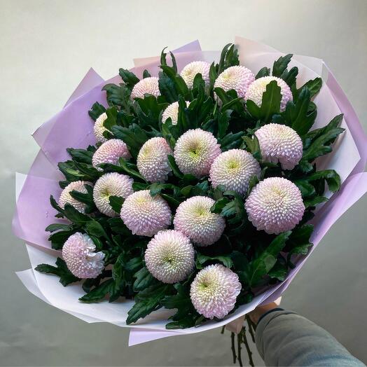 MOMOKO Chrysanthemum