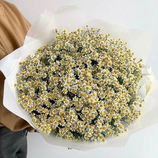 Букет из ромашек