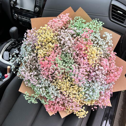 Bouquet of gypsophila rainbow