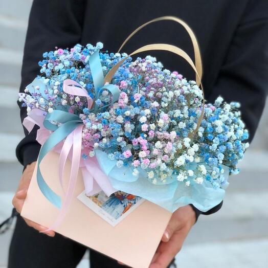 Gypsophila iridiscens