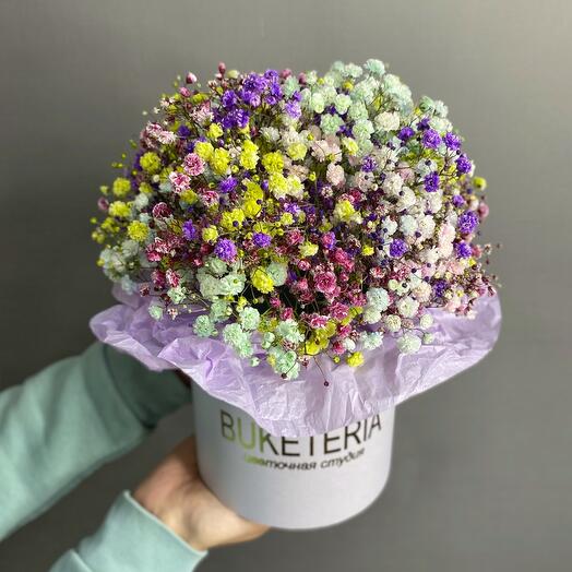 Бокс XS с гипсофилой