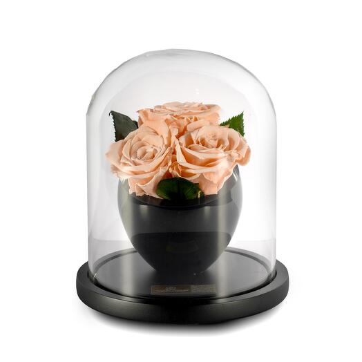Peach Preserved Roses in crystal vase Trio