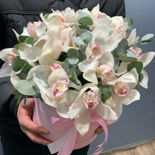 Orquídea