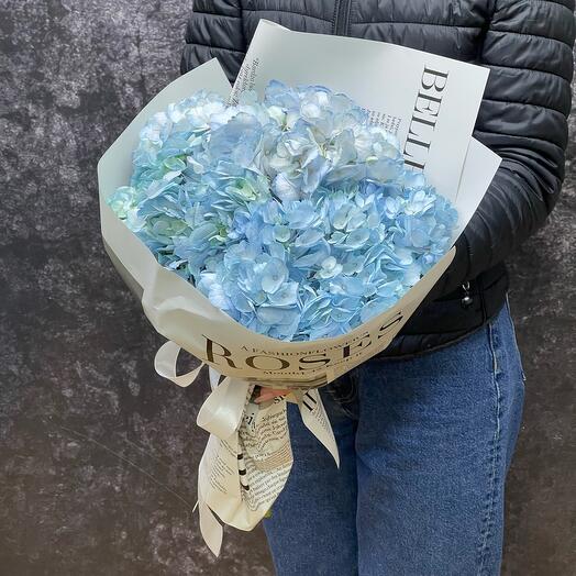 Three blue hydrangeas