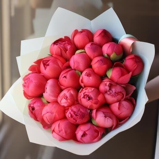 Коралловые пионы 25