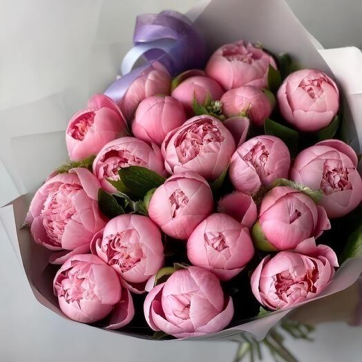 Salmon peonies 19